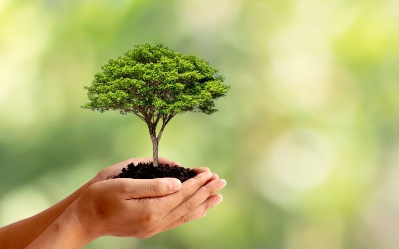 I Cat Bonds: l’evoluzione della gestione del rischio nella finanza&nbsp;sostenibile